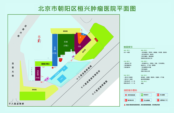 俄罗斯片老年人操逼片北京市朝阳区桓兴肿瘤医院平面图